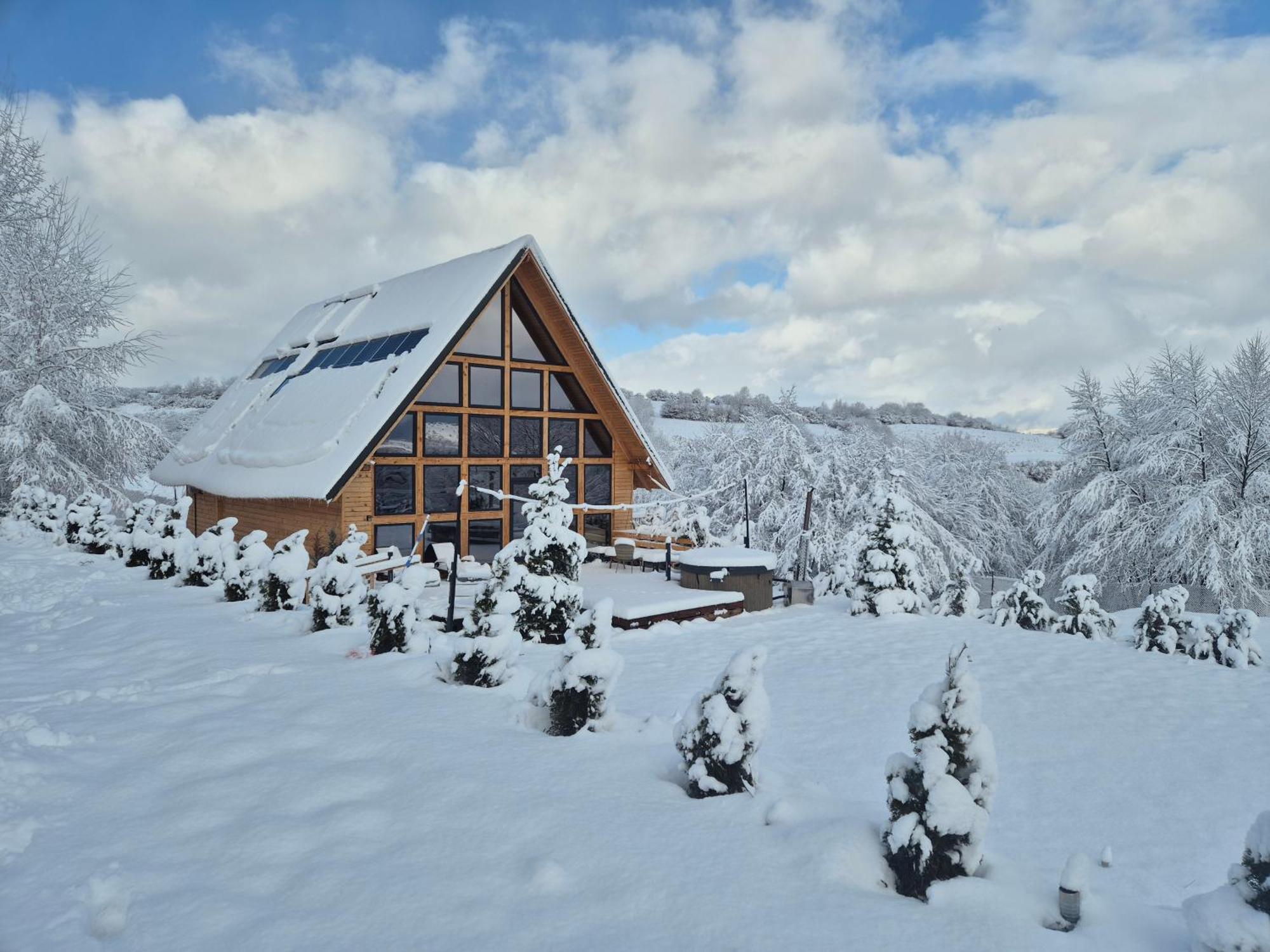Cabana Timbernest Bran  Esterno foto